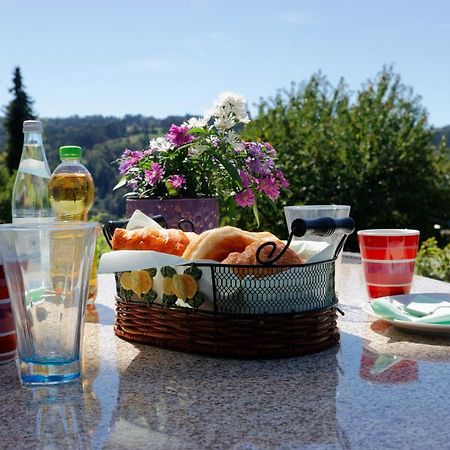 Ferienappartement Donautal Obernzell Εξωτερικό φωτογραφία