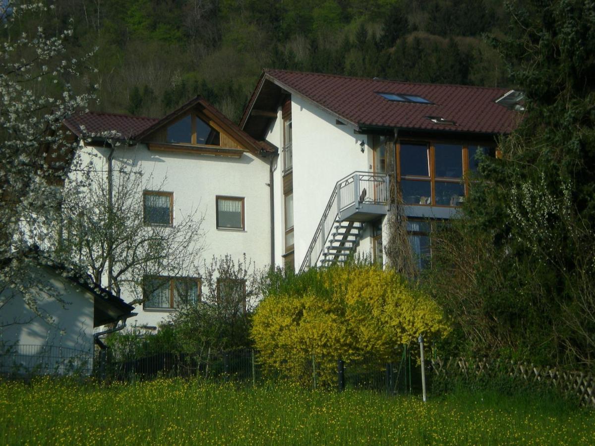Ferienappartement Donautal Obernzell Εξωτερικό φωτογραφία