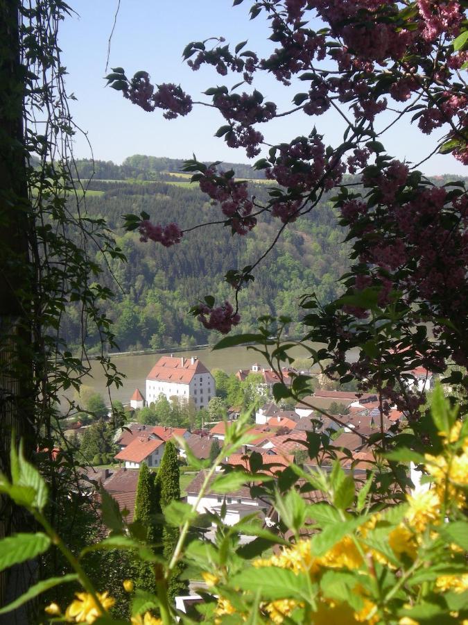 Ferienappartement Donautal Obernzell Εξωτερικό φωτογραφία